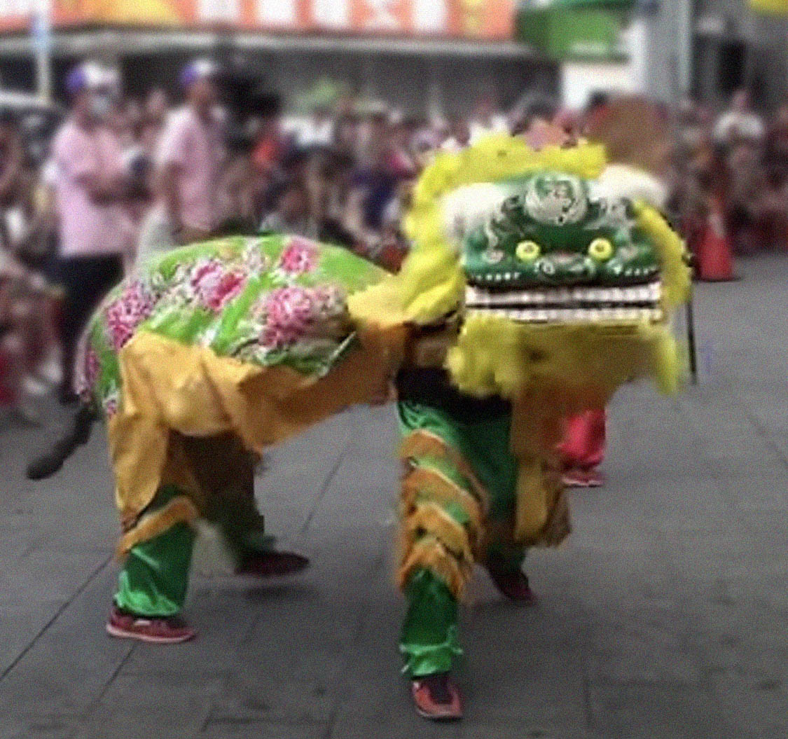 舞狮子表演视频,舞狮表演