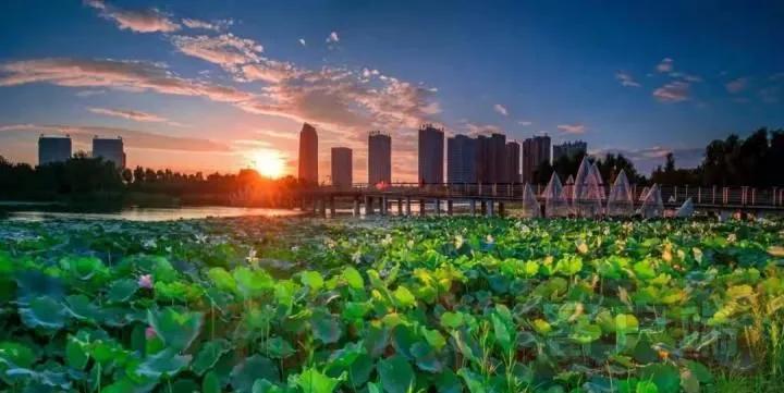 哈尔滨长春沈阳这些城市的特点,为什么每个城市都有一样的区