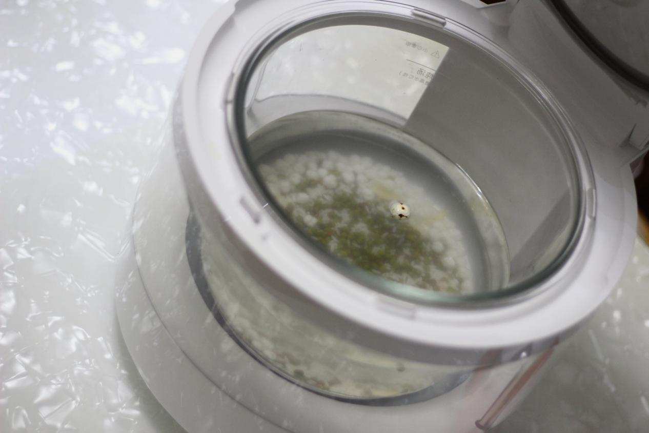 米家透明蒸汽电饭煲如何,迷你电饭煲颜值高功能更强大