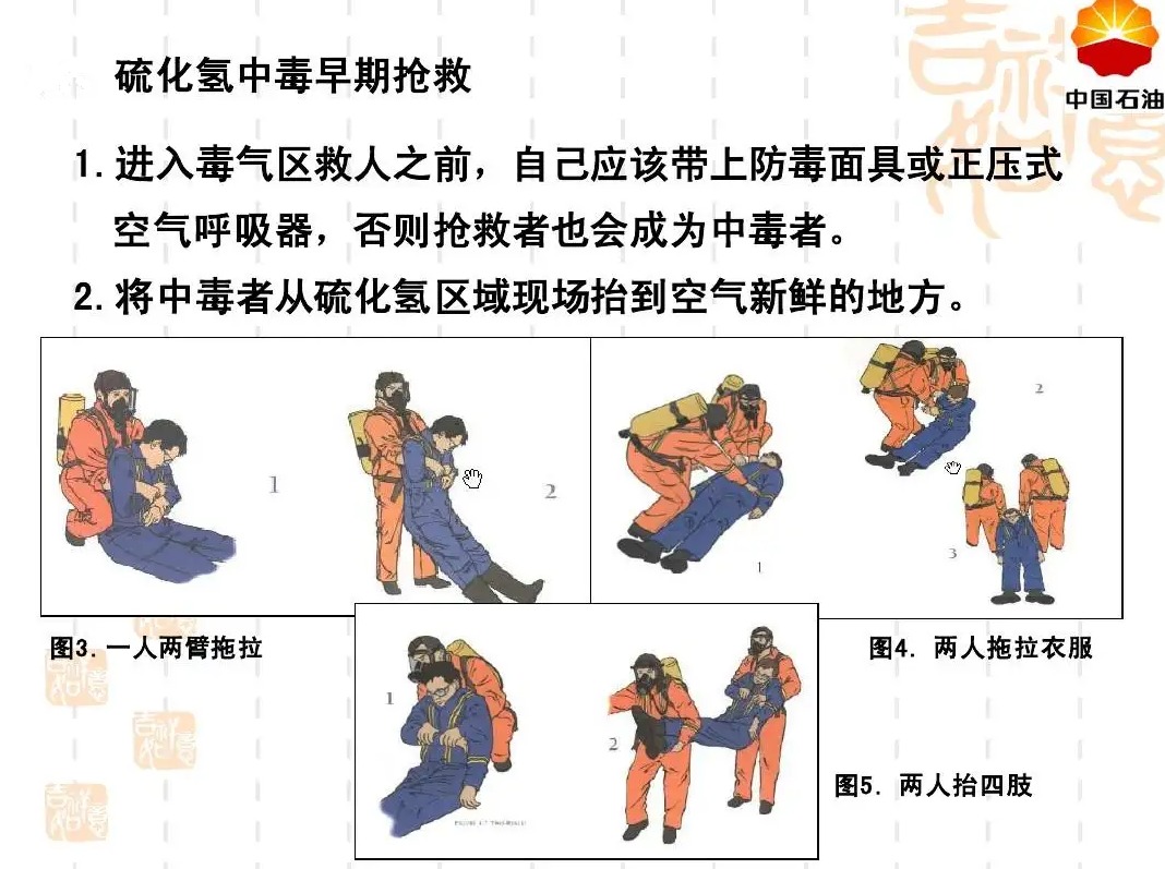 电击身亡事件,硫化氢中毒最大事故