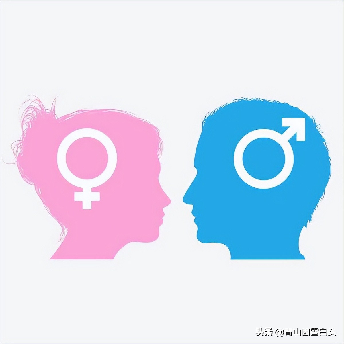 银杏公树和母树对比图片,银杏树分公母吗