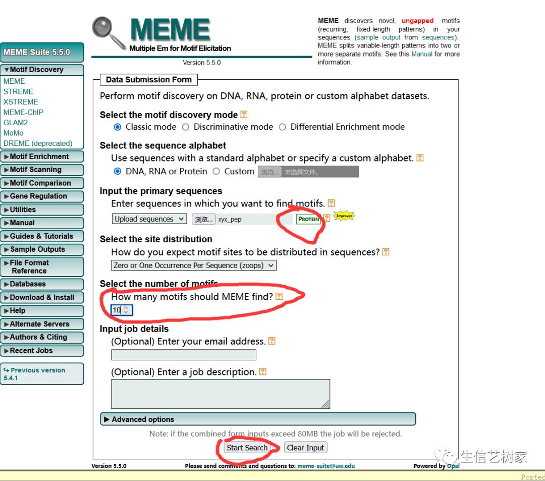 TBtools|基因家族分析,进化树、Motifs、结构域