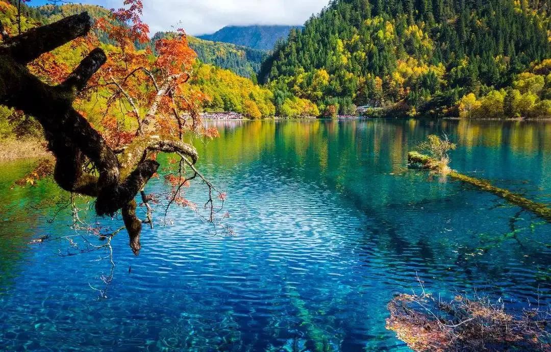 人间仙境九寨沟图片,人间仙境九寨风景图片