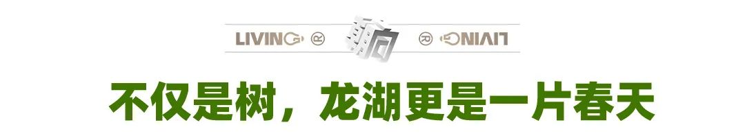 为什么龙湖的房子户型一直在迭代,为什么龙湖最好