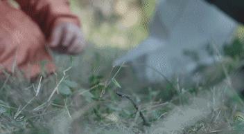 给孩子起名叫杜甫行吗,杜甫给孩子取名字