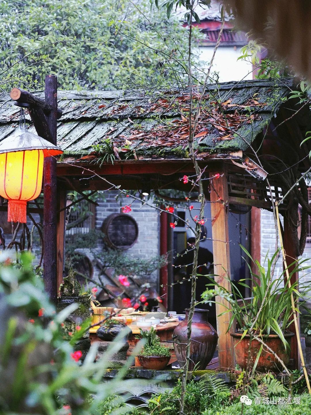 来都江堰的山间溪畔赴一场“好食光”！青山间的火锅店、花园里的小食堂......赏景美食两不误~