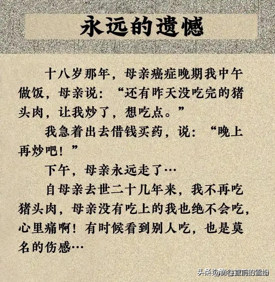 伟大的妈妈完整动画,完整版伟大的妈妈