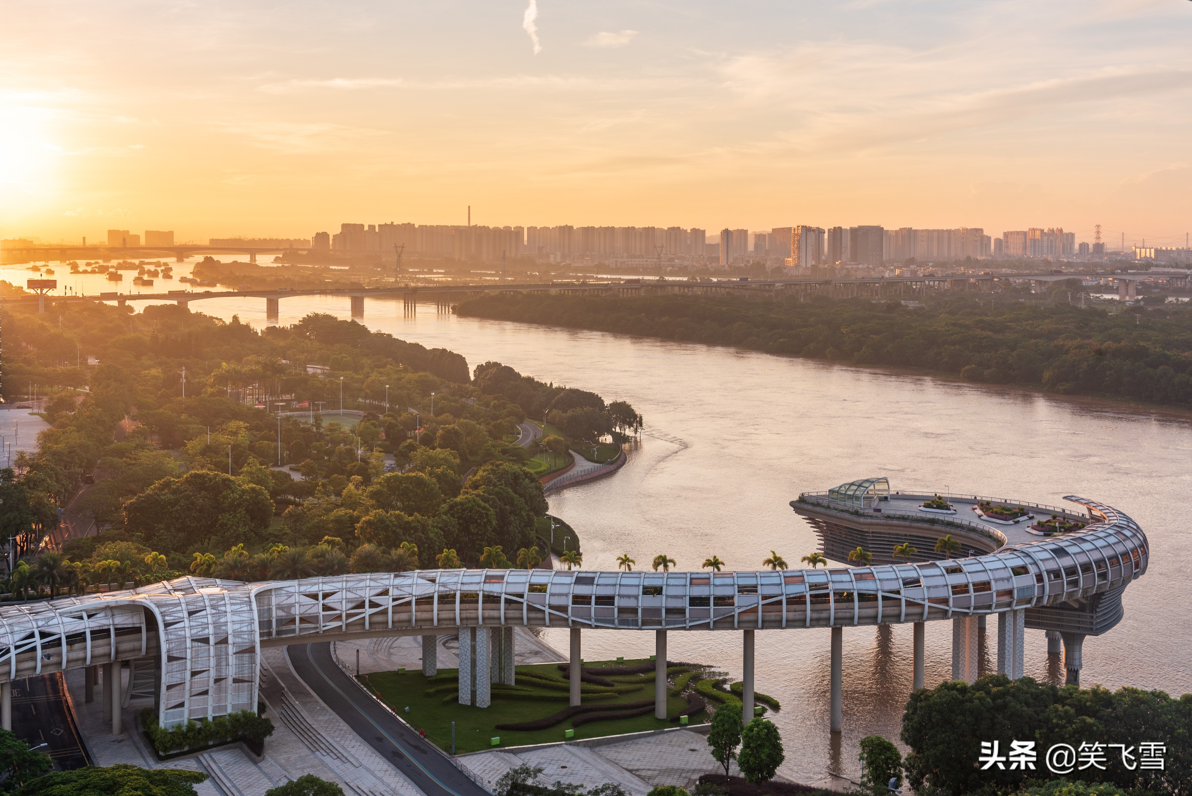 去顺德哪个地方美食多,去顺德必买特产店