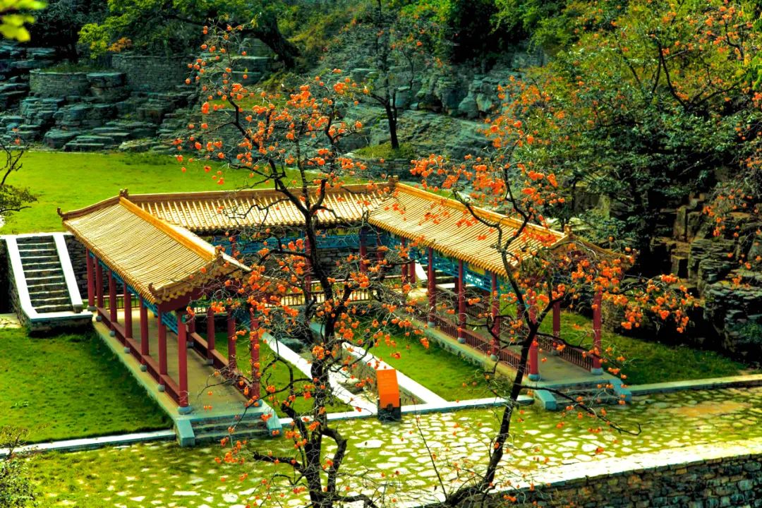 逛吃逛吃歌曲,逛吃逛吃大张伟