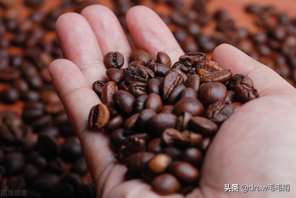 牙买加蓝山咖啡价格,牙买加艺术山蓝山咖啡