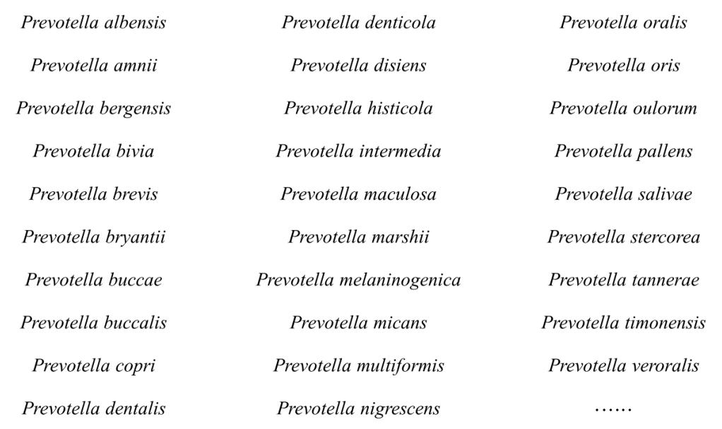 普雷沃氏菌是厌氧菌吗,肠道菌种有哪些