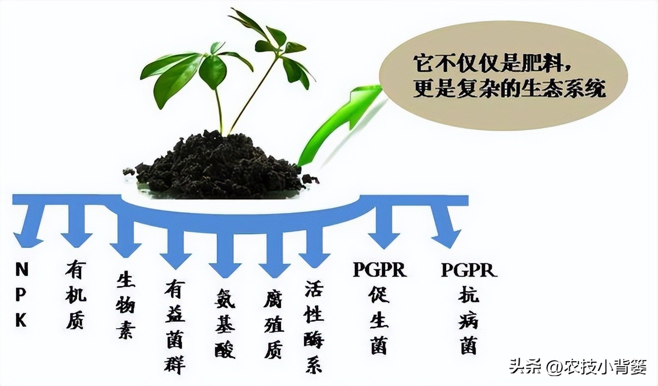 菌肥活菌剂,菌肥好不好