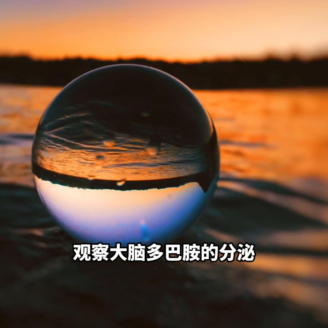 科普向深度解读什么是快感,你是否想过这样一个问题