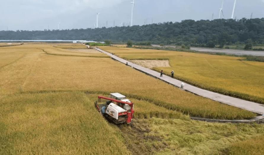 揭秘金融的真相,黑暗金融知识
