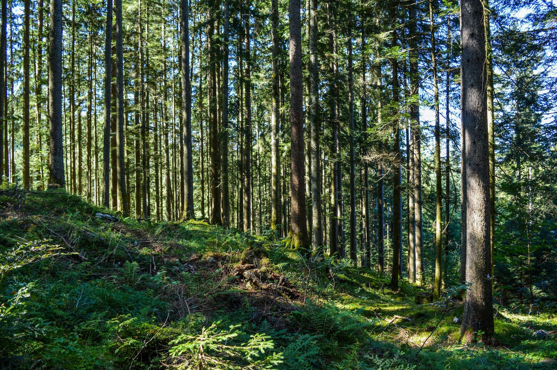 中暑头晕恶心教你一招解决方法,轻微中暑是反胃恶心的症状吗