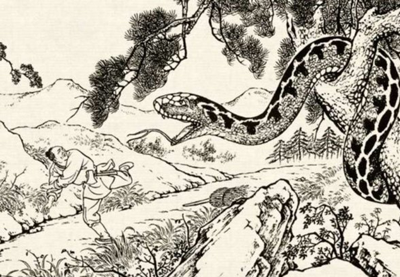 巨蟒吞下的是什么,被巨蟒咬上一口是什么感觉