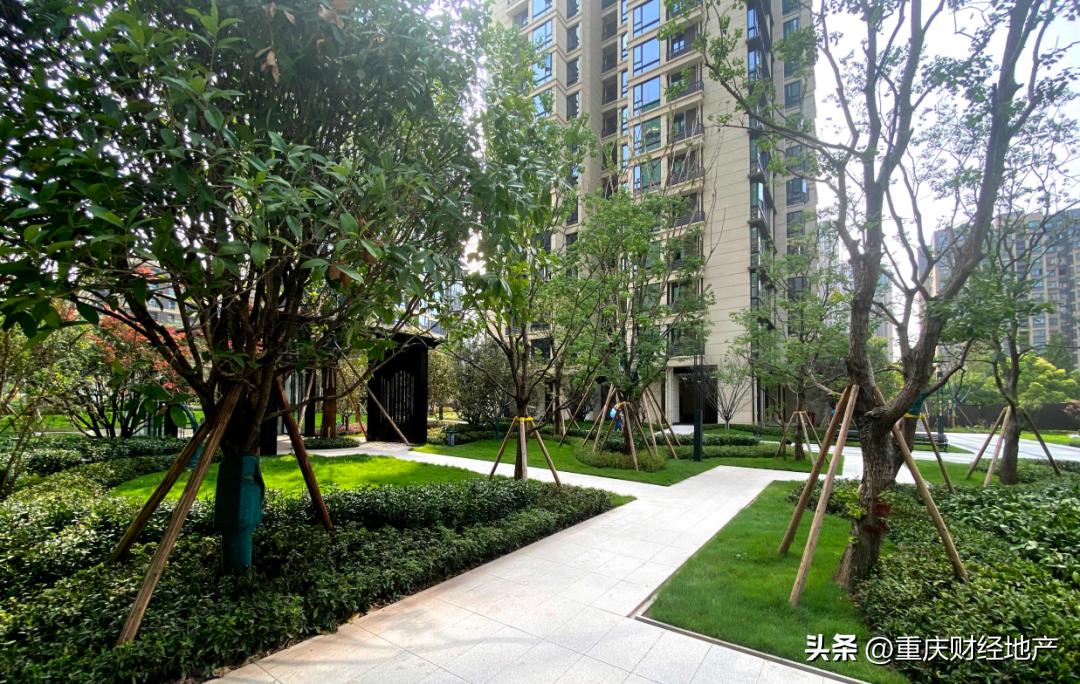 桃源居二期值得购买吗,桃源居楼盘