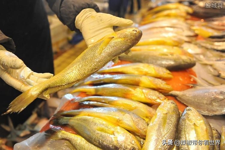 外地旅游连云港好吃的美食推荐,连云港旅游推荐美食