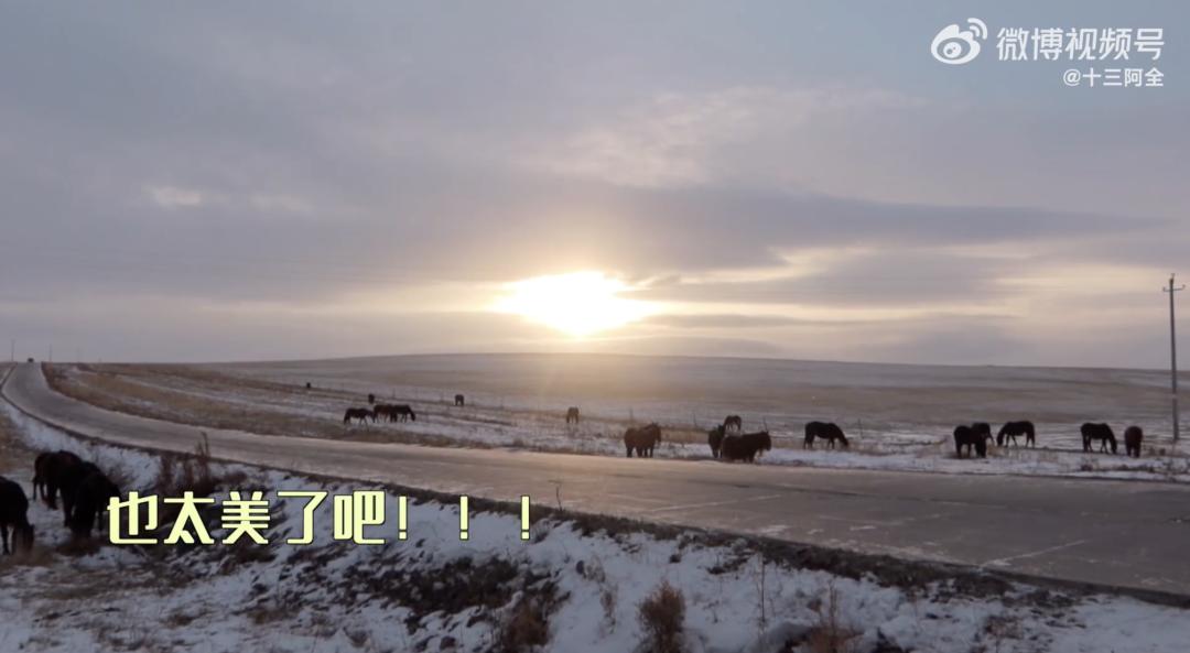 90后夫妻生4胞胎小伙卖房凑50万,90后夫妻卖500万房到内蒙古当农民