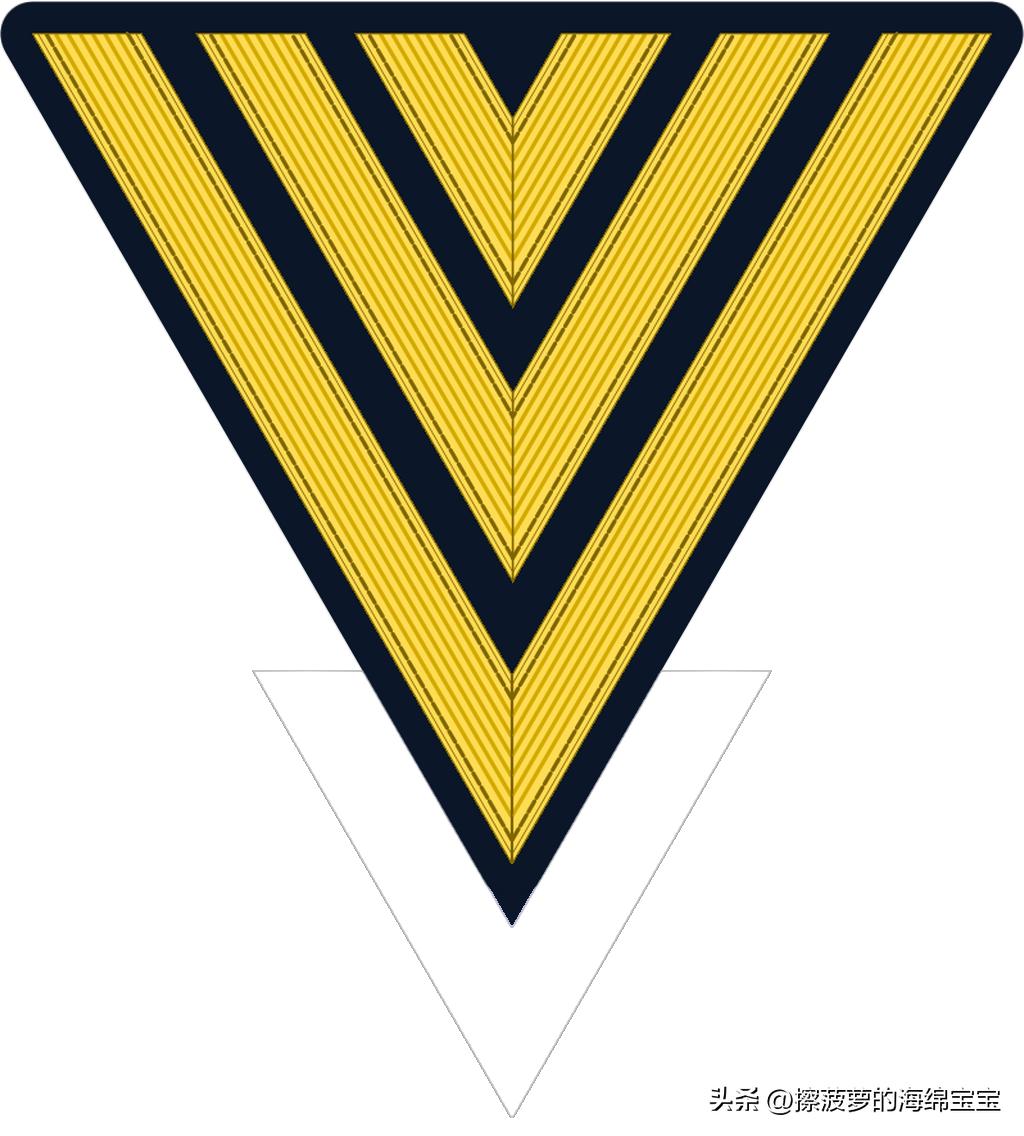 二战德国国防军医疗兵军衔标志