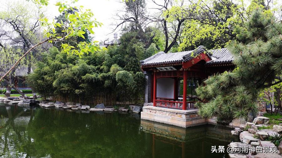 钓鱼台养源斋视频,钓鱼台国宾馆养源斋