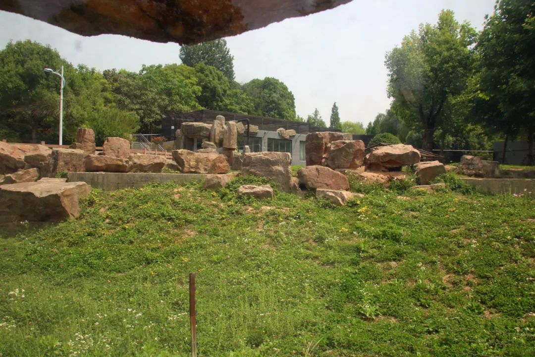 淮安动物园位置,淮安动物园多大面积