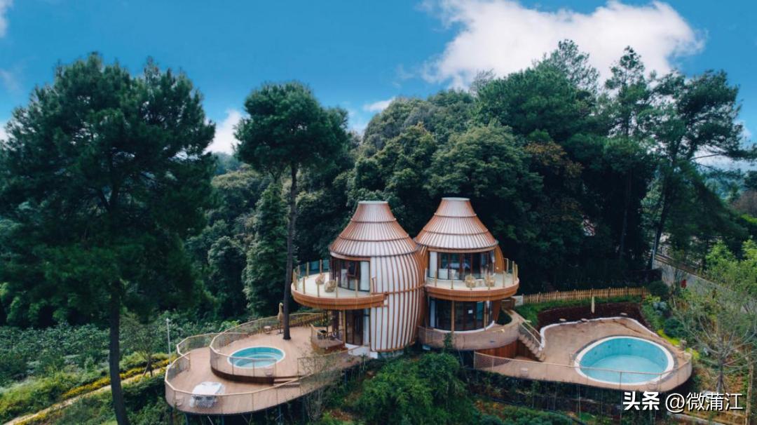 成都市全面推进乡村振兴意见建议,蒲江县乡村振兴