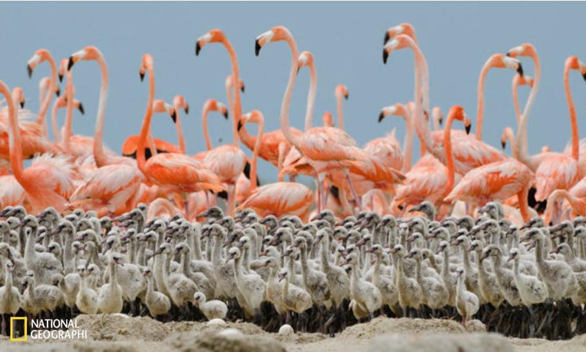 跨越130年的时空对话,来这里看一看粤语怎么说