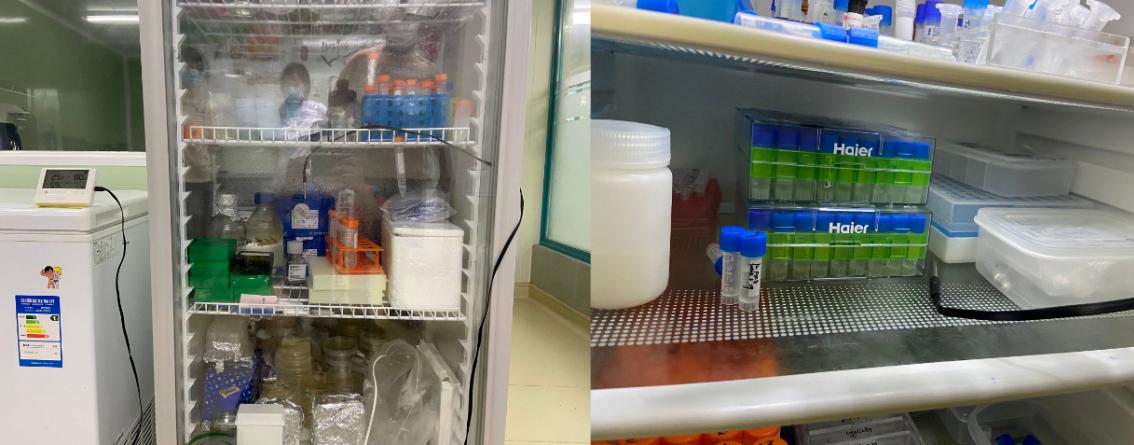 药品冷冻柜温湿度标准,小型药品超低温冷冻箱