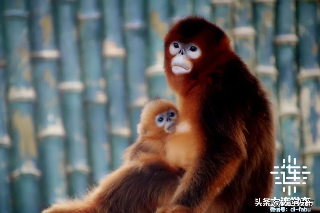七天假期上哪玩儿,假期去哪儿玩这份攻略告诉你