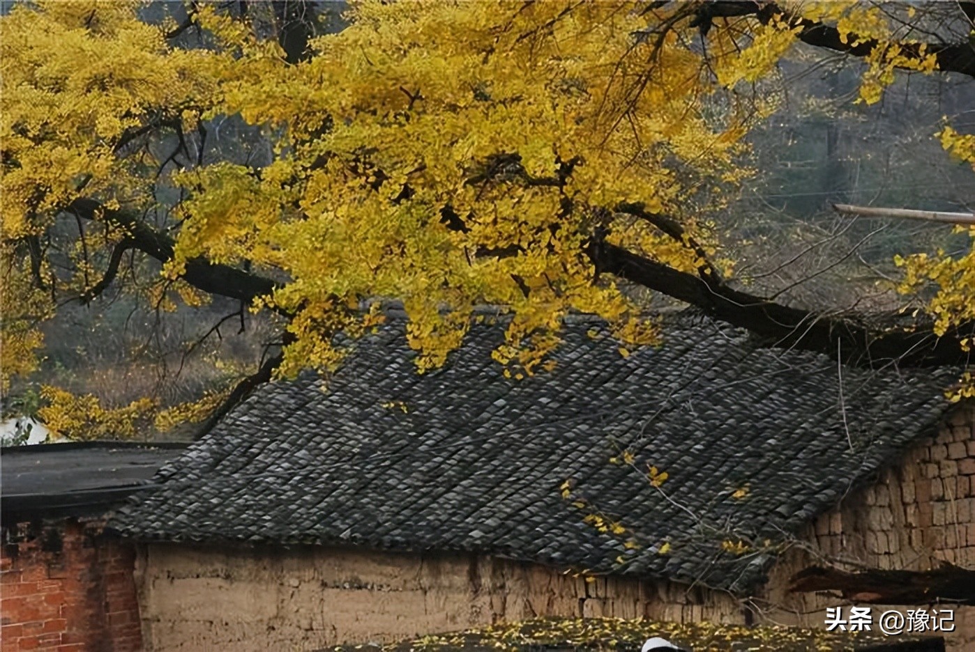 河南哪里地下宝藏最多,河南深山文物