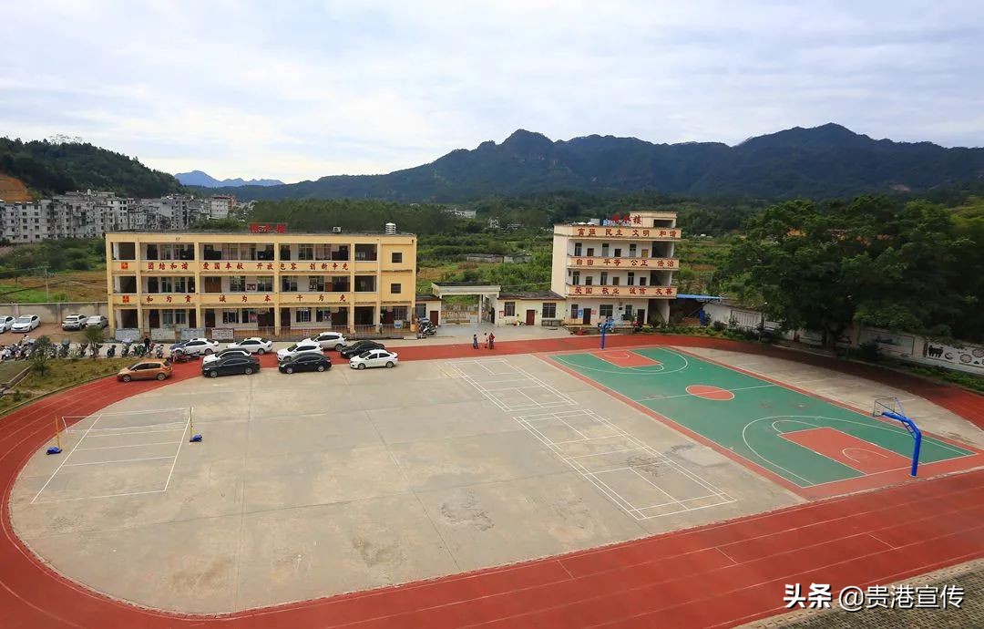 大鹏中心小学温逸宏,大鹏中心小学陈小波