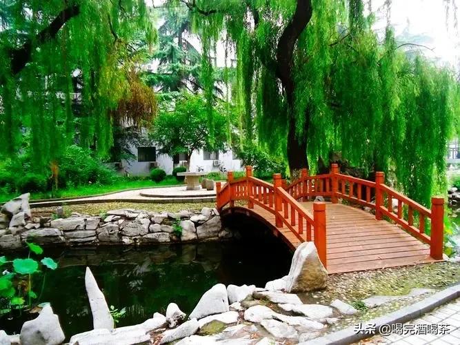 山东大学王牌专业就业难吗,山东大学护理专业分数线