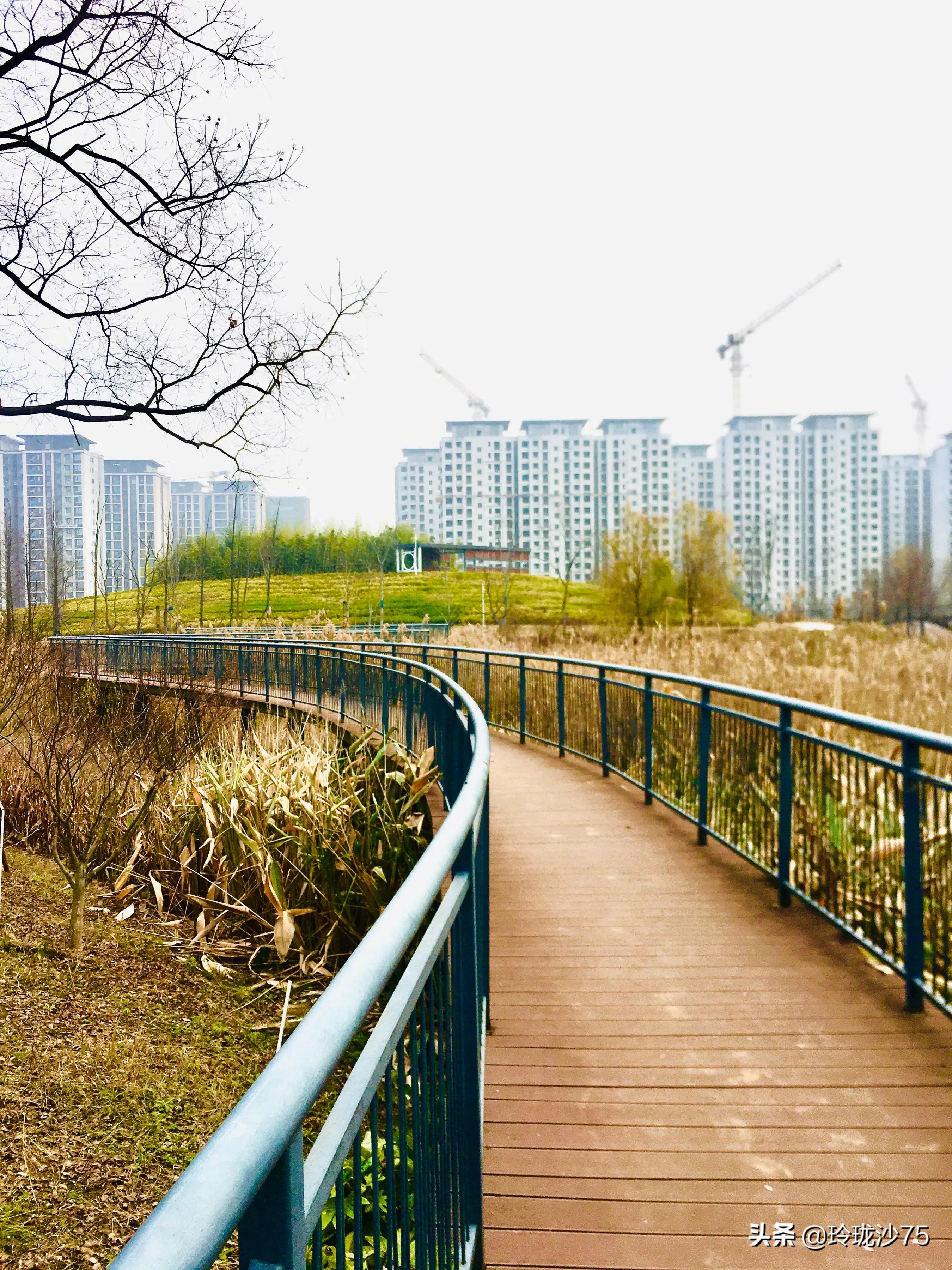 长沙风景美丽的篮球场,长沙王陵公园生态足球场