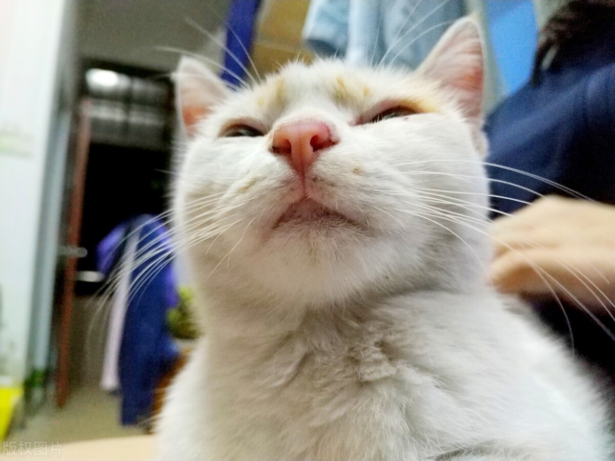 三十六计做局手段,三十六计不如算计