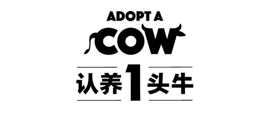 品牌1号位:卖点+卖价x,内容+场景+kol)