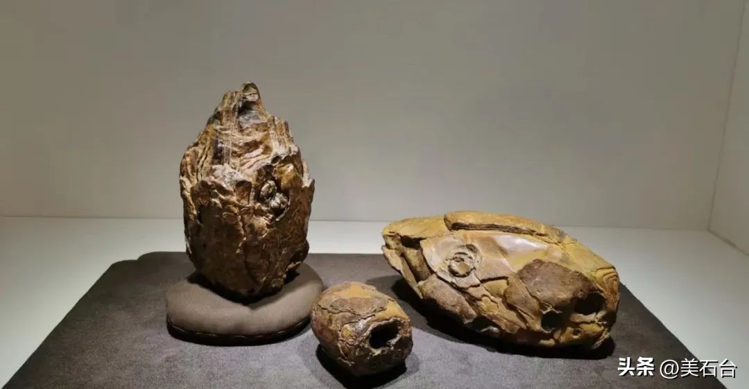 五色君：玩奇石赚钱，要赚就赚有品位人的钱