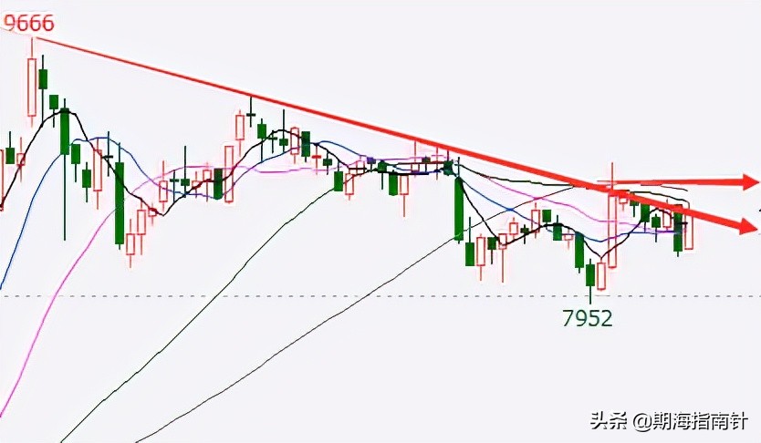期货苹果鸡蛋,商品期货白糖分析