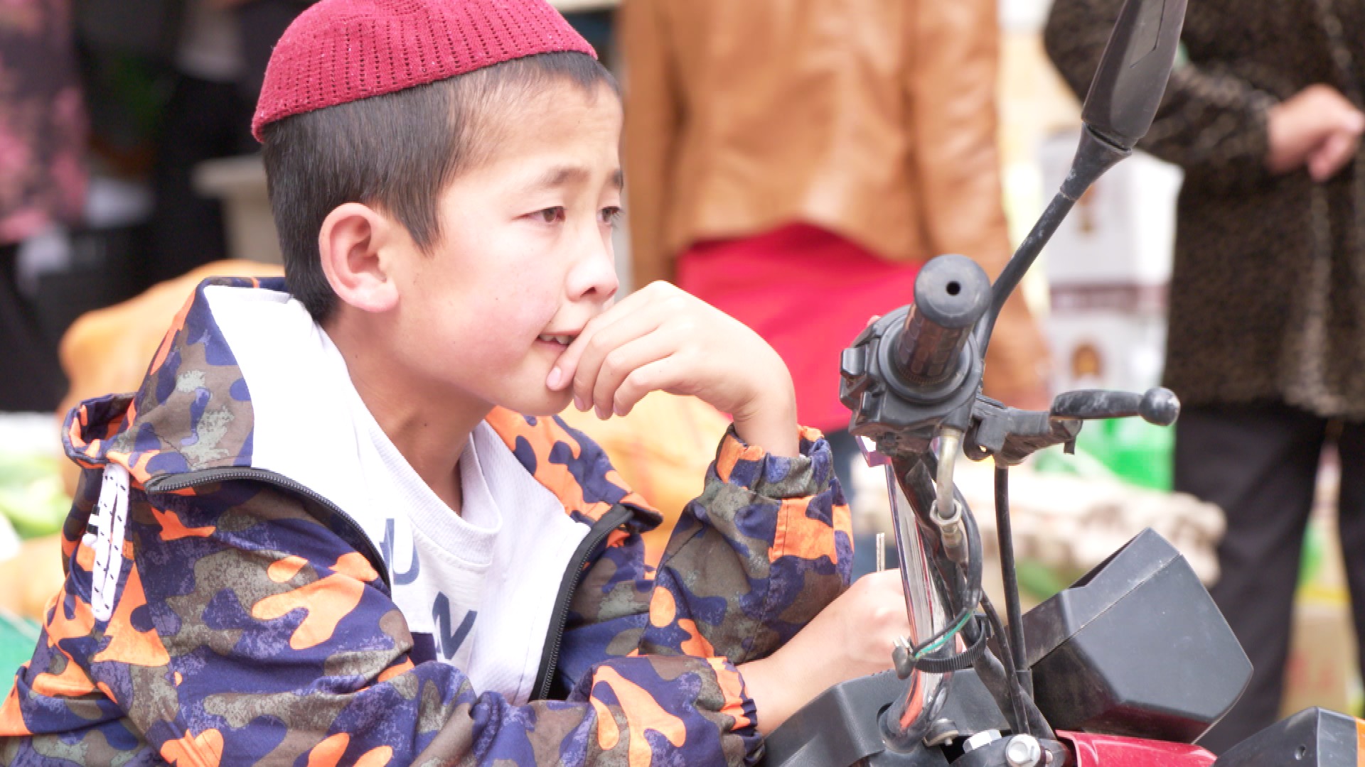青海诺木洪枸杞今年什么时候摘,青海诺木洪枸杞采摘