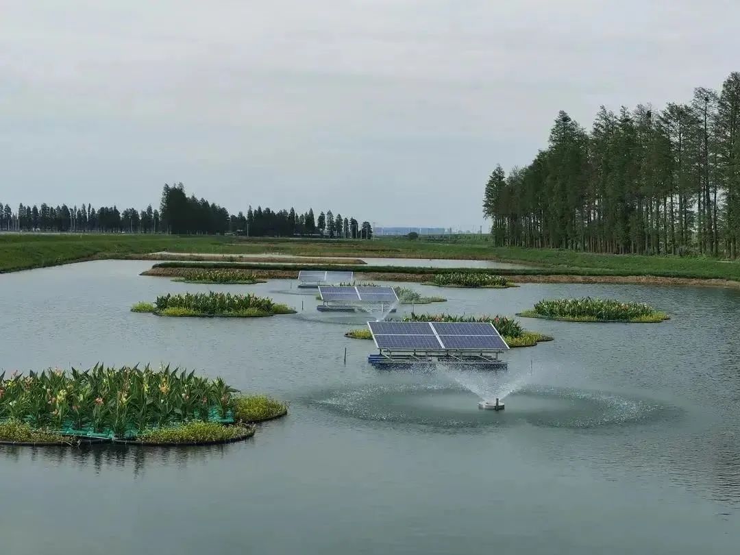 相约金秋“蟹”逅高淳|固城湖的“横行介士”来啦！