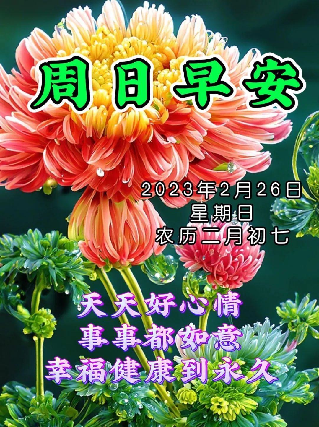 周二早上好问候带字图片大全,周三祝福大家早上好带字图片大全