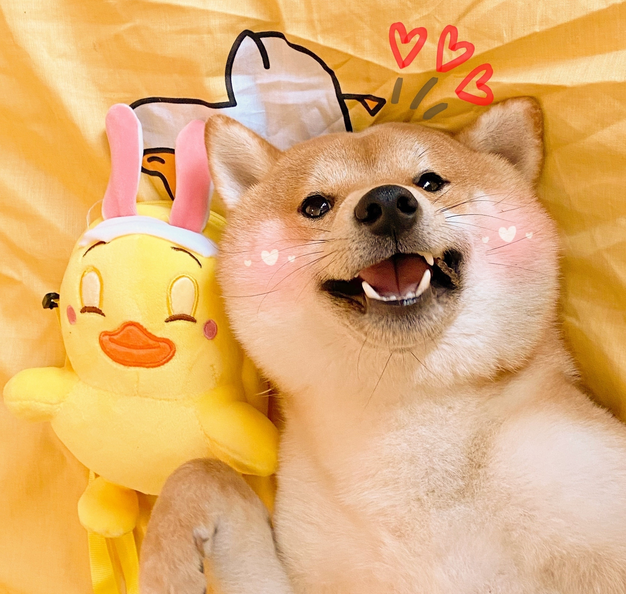 你只关心你自己的沙雕文案,夸姐妹的文案沙雕