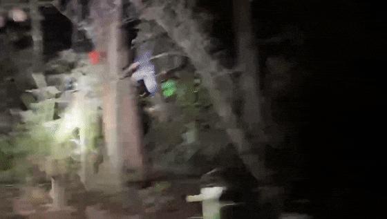 在深山老林捡菌子,夫妻深山捡菌子