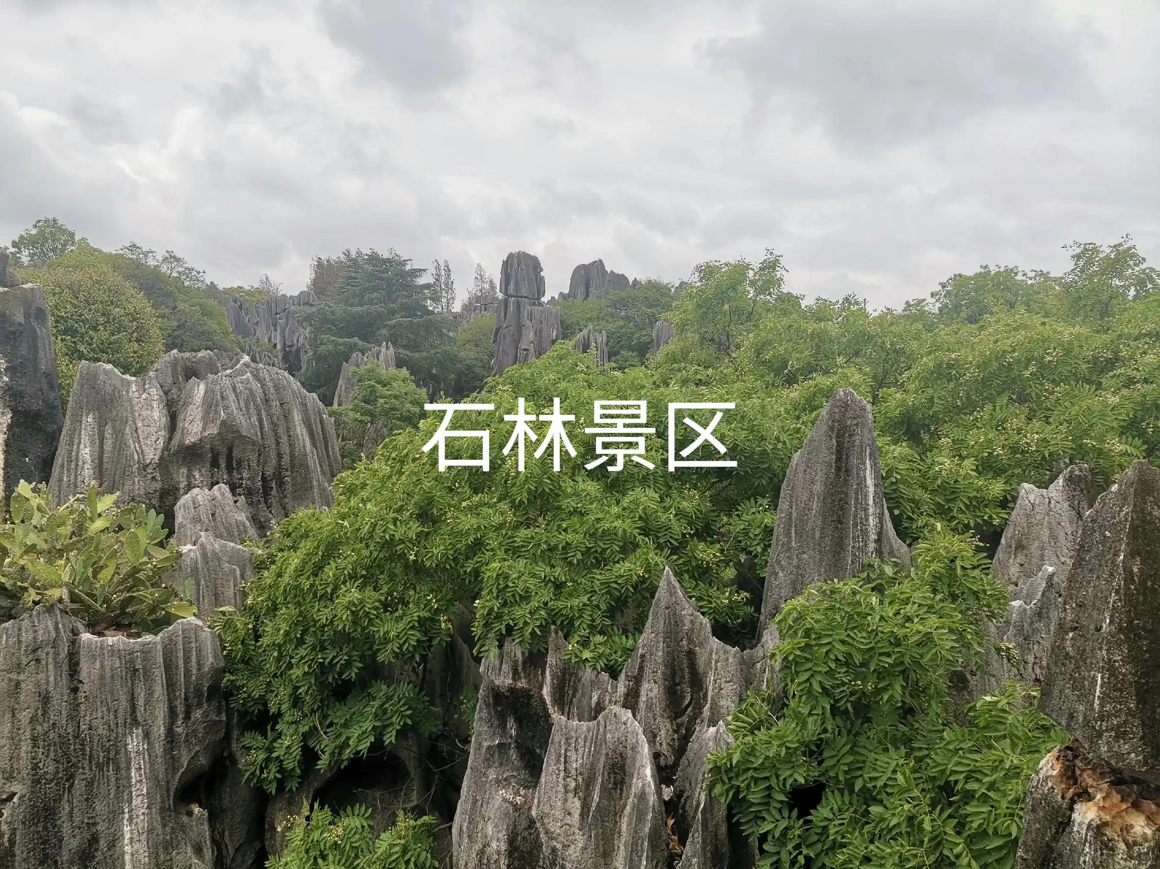 七彩云南之旅,七彩云南之旅旅游卡