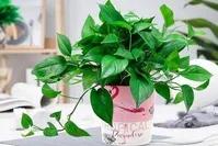 当下冷门创业行业,适合小县城大龄人创业的生意