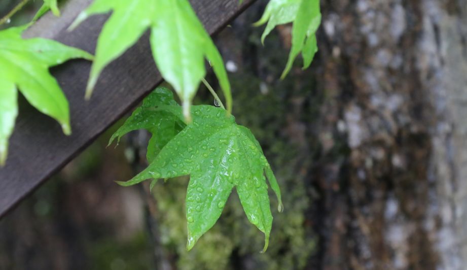 感受长白山的气息和美景,来一趟长白山的感受