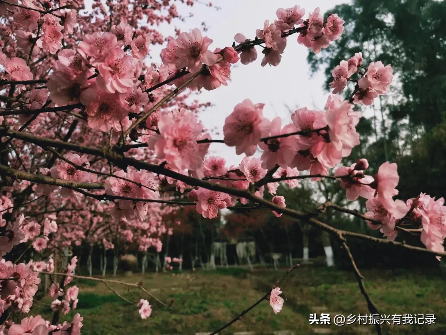 浣曢璐靛窞,浣曢鍘熷垱浣滃搧