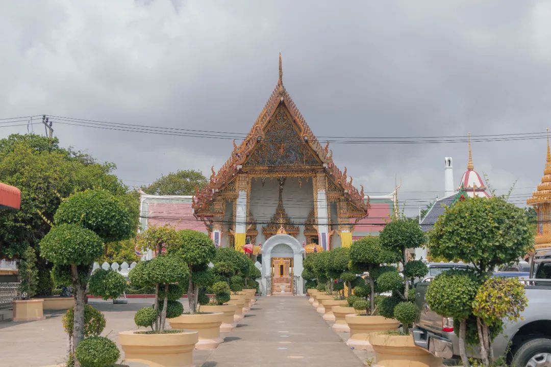 大数据推给想去泰国的朋友，万字长文玩转曼谷芭提雅