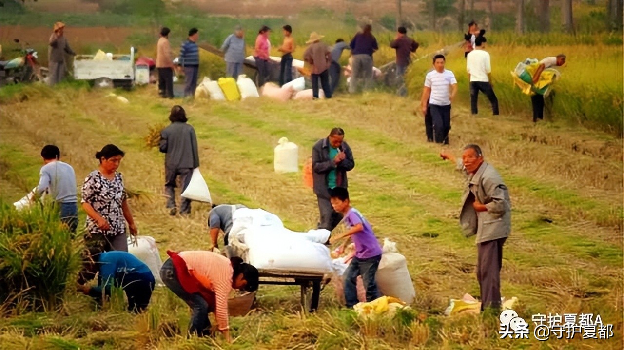 关于农民交公粮的文章,交公粮的80年代老歌完整版