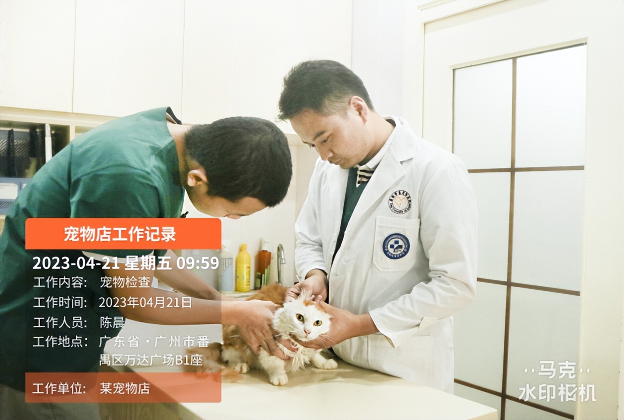 伴宠专员养宠经验怎么写,伴宠专员如何考证